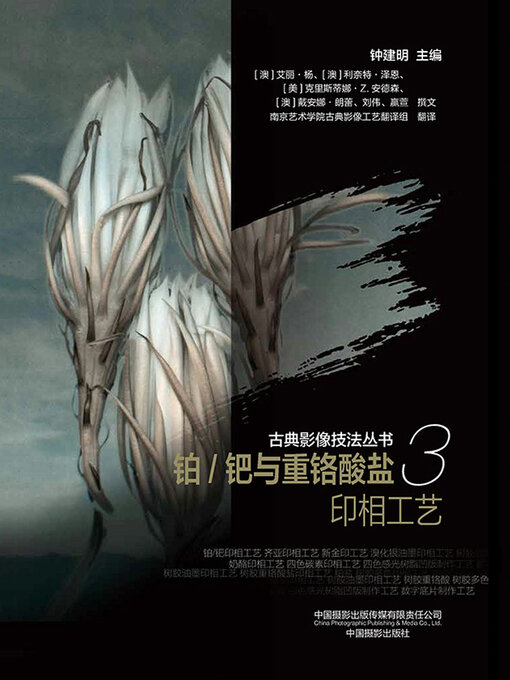 Title details for 铂/钯与重铬酸盐印相工艺 by 钟建明主编 - Available